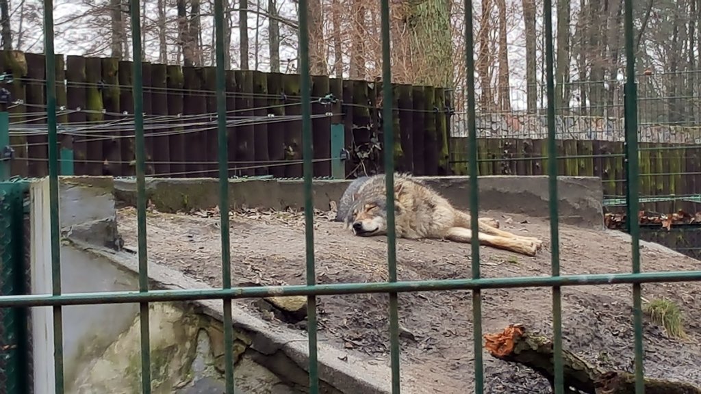 Wiosna zawitała do białostockiego Akcentu Zoo