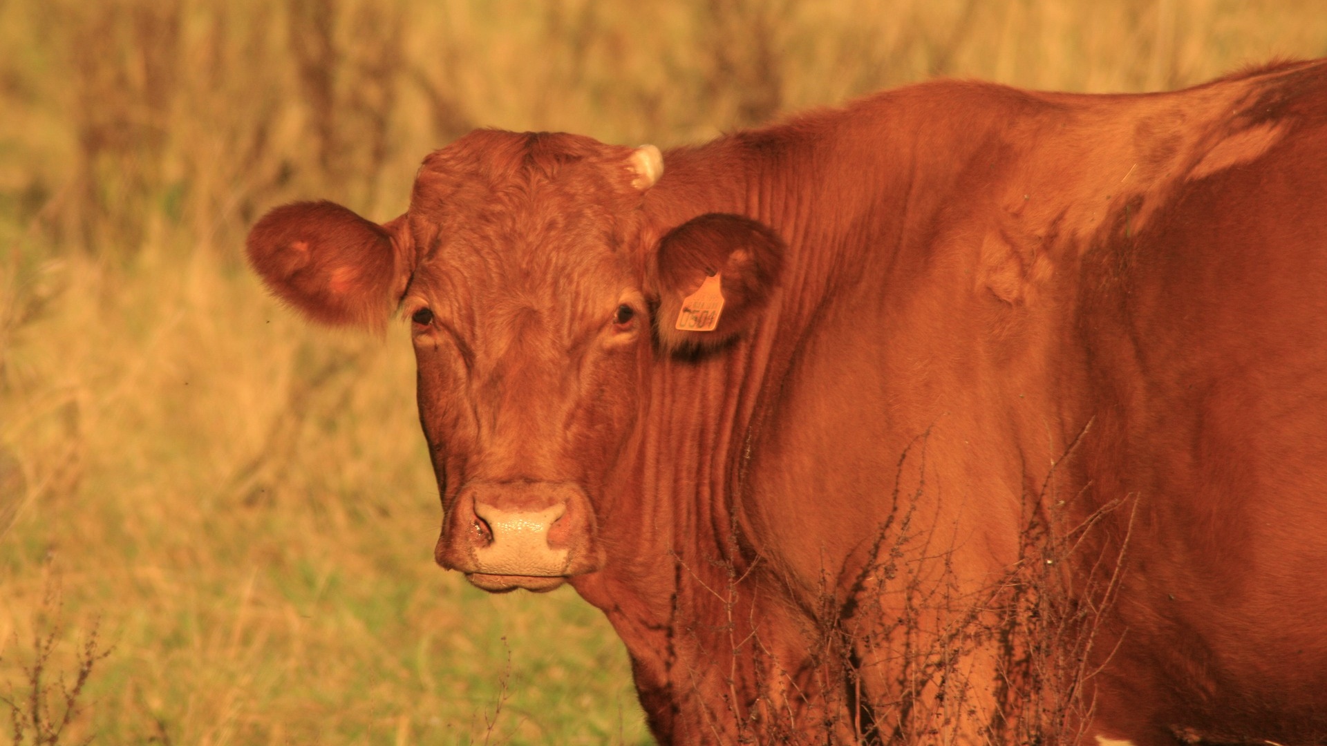 Przed nie lada wyzwaniem stanęły władze gminy Krasnopol