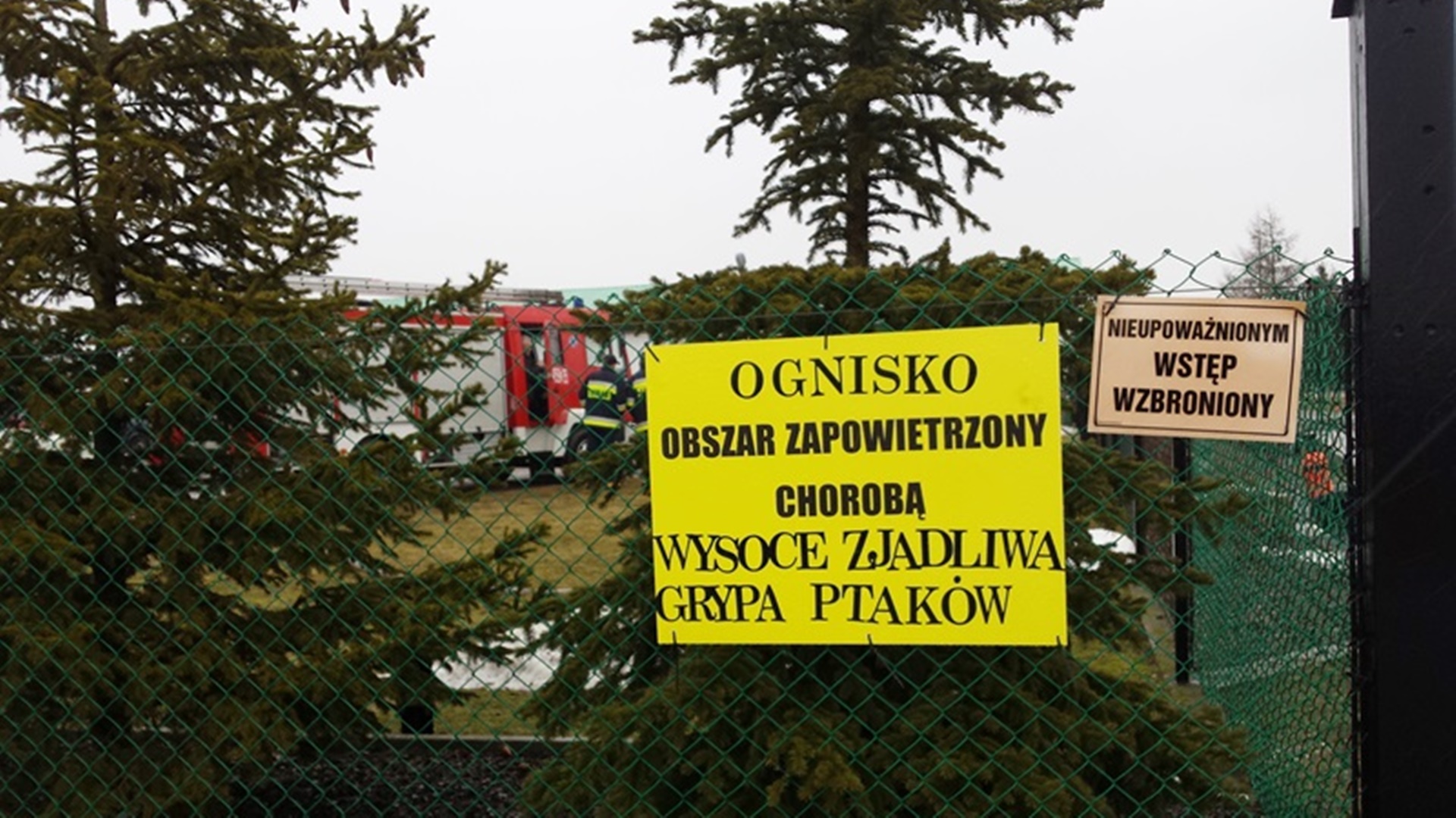 Ogniska ptasiej grypy coraz bliżej województwa podlaskiego