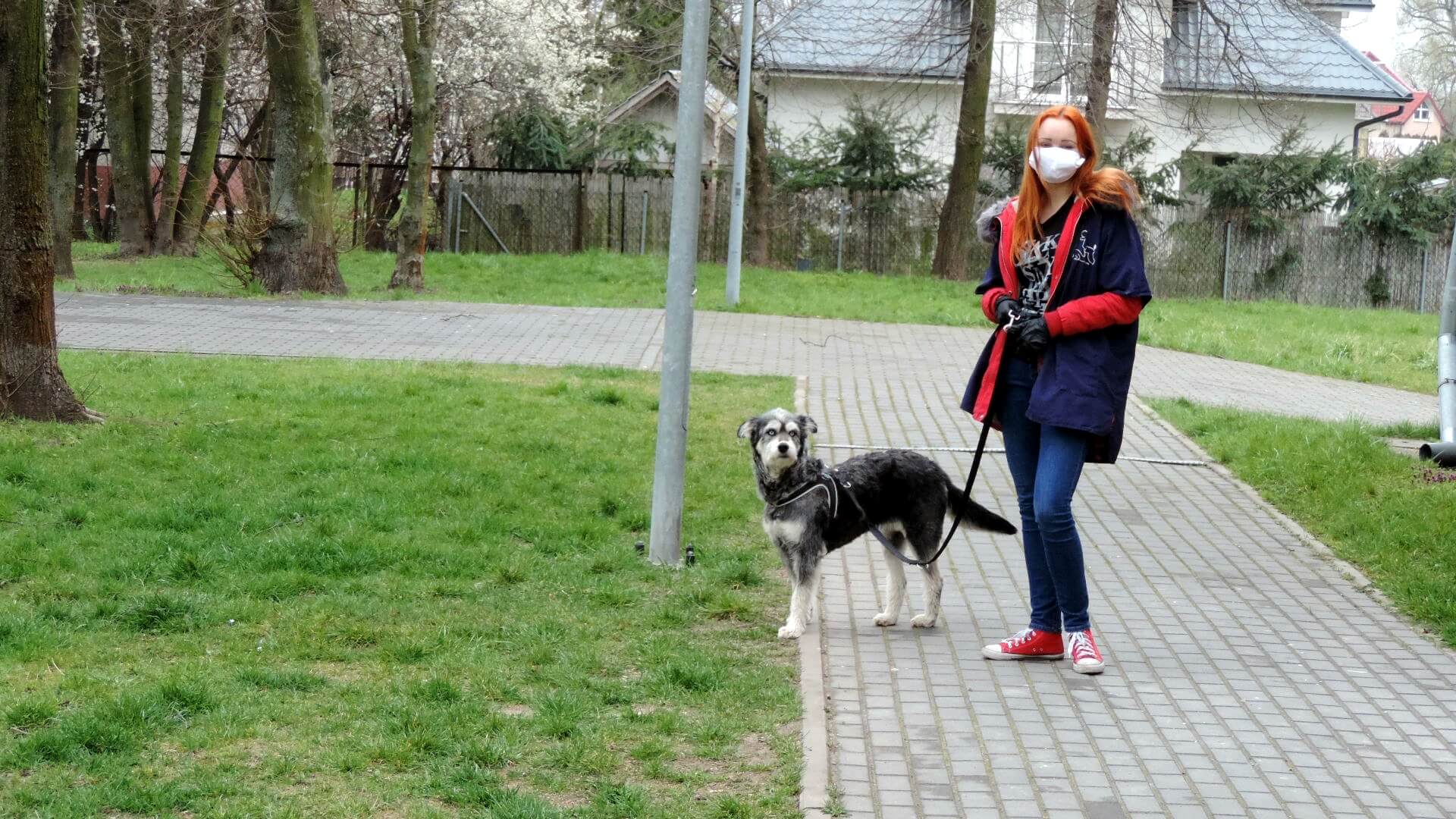 Uczniowie łomżyńskiej Wety pomogą w wyprowadzaniu psów