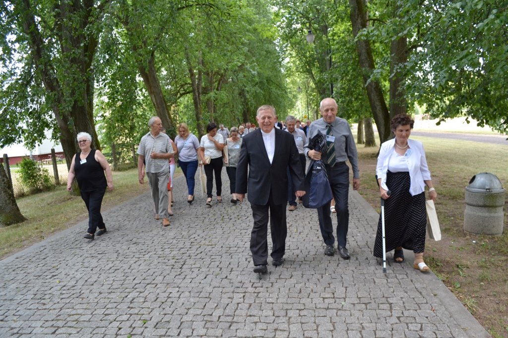 Czy drzewa z Alei Lipowej w Dowspudzie zostaną ścięte?