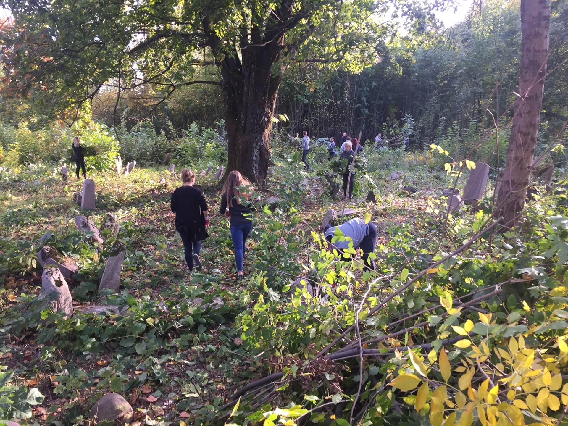 Wolontariusze sprzątali w Sokółce cmentarz żydowski