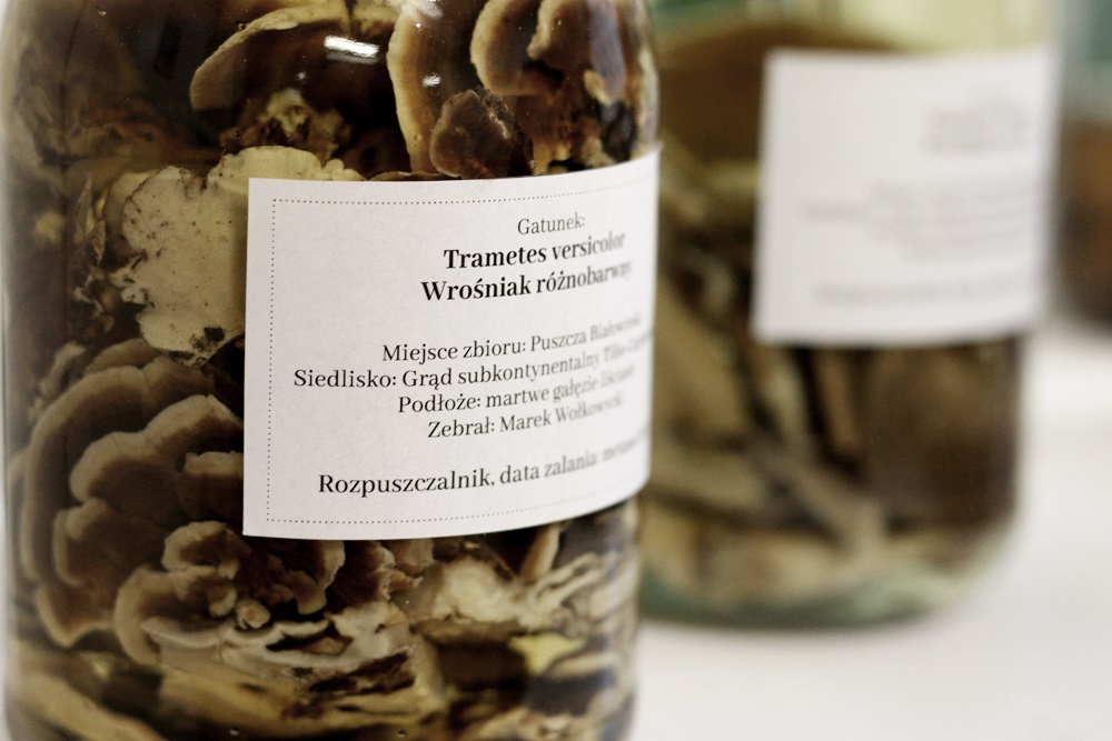 Lek na raka jelita grubego? Są wstępne wyniki badań białostockich uczelni