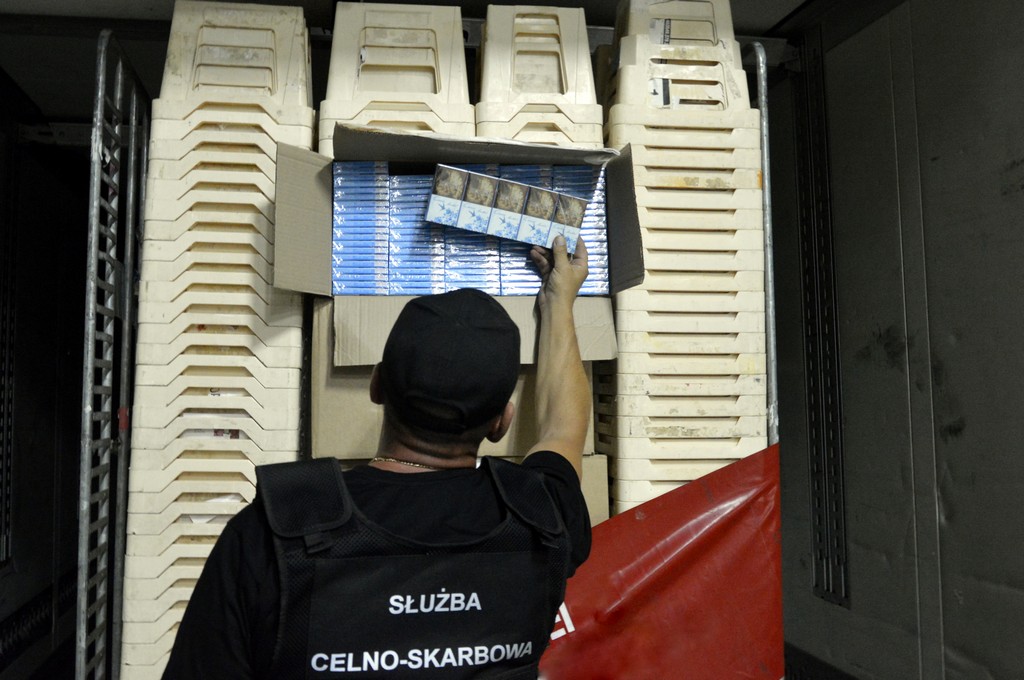 Z Rosji do Holandii po kwiaty – przemyt w doniczkach