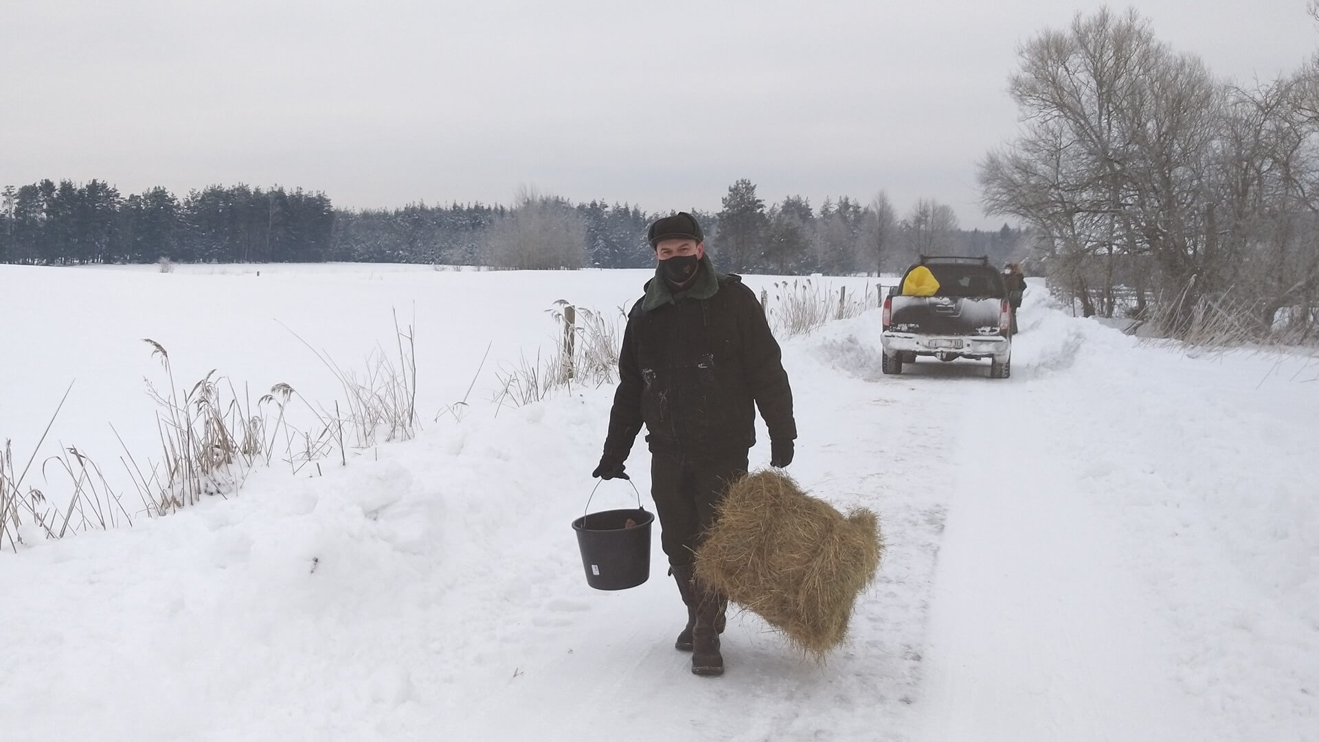 Podlascy leśnicy i myśliwi pomagają leśnym zwierzętom