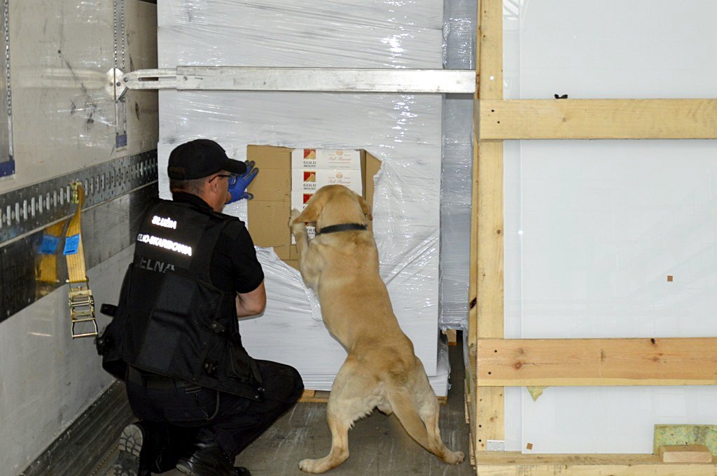 Zamiast części do drzwi - papierosy za 4,5 mln zł - podlascy celnicy udaremnili przemyt