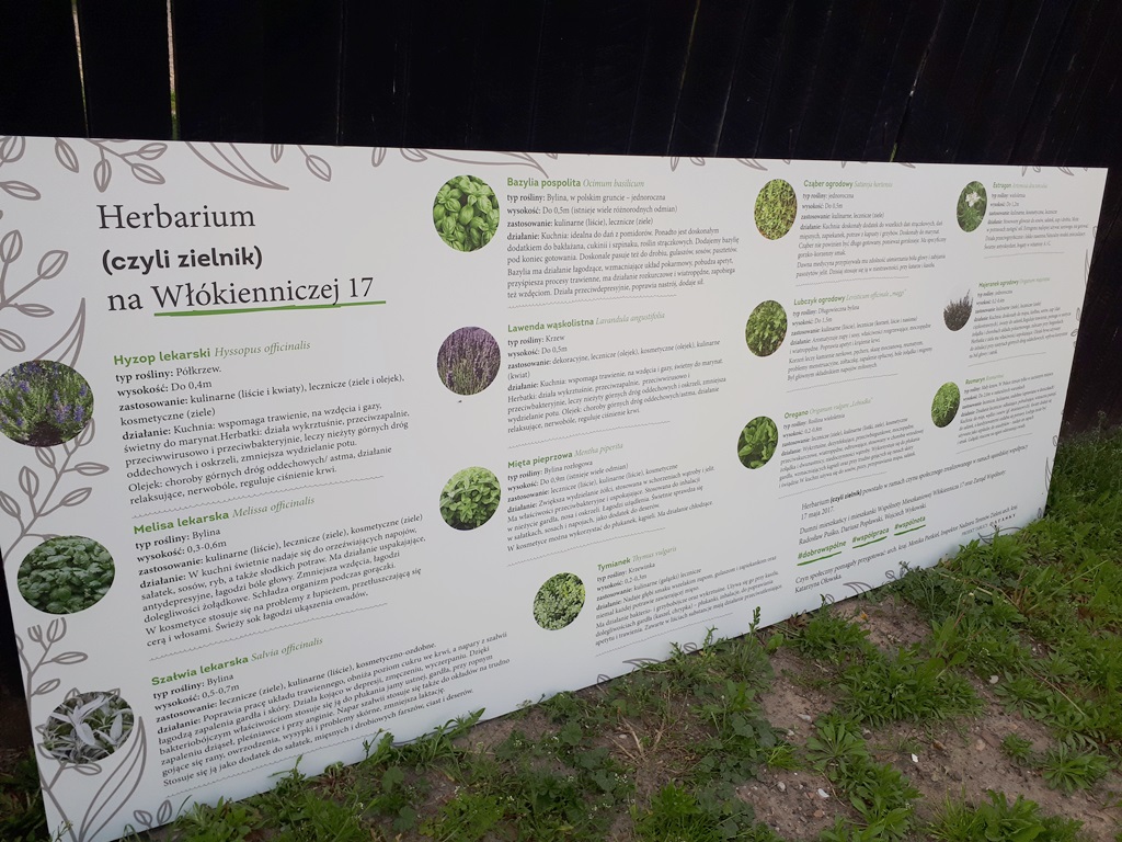 Mieszkańcy stworzyli kwietnik, zielnik i zasadzili krzewy owocowe – czyn społeczny przy Włókienniczej 17 w Białymstoku