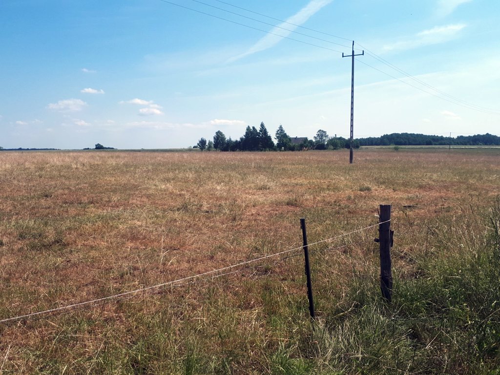 Komisje szacują już straty spowodowane suszą - wojewoda podlaski powołał je na wniosek samorządowców