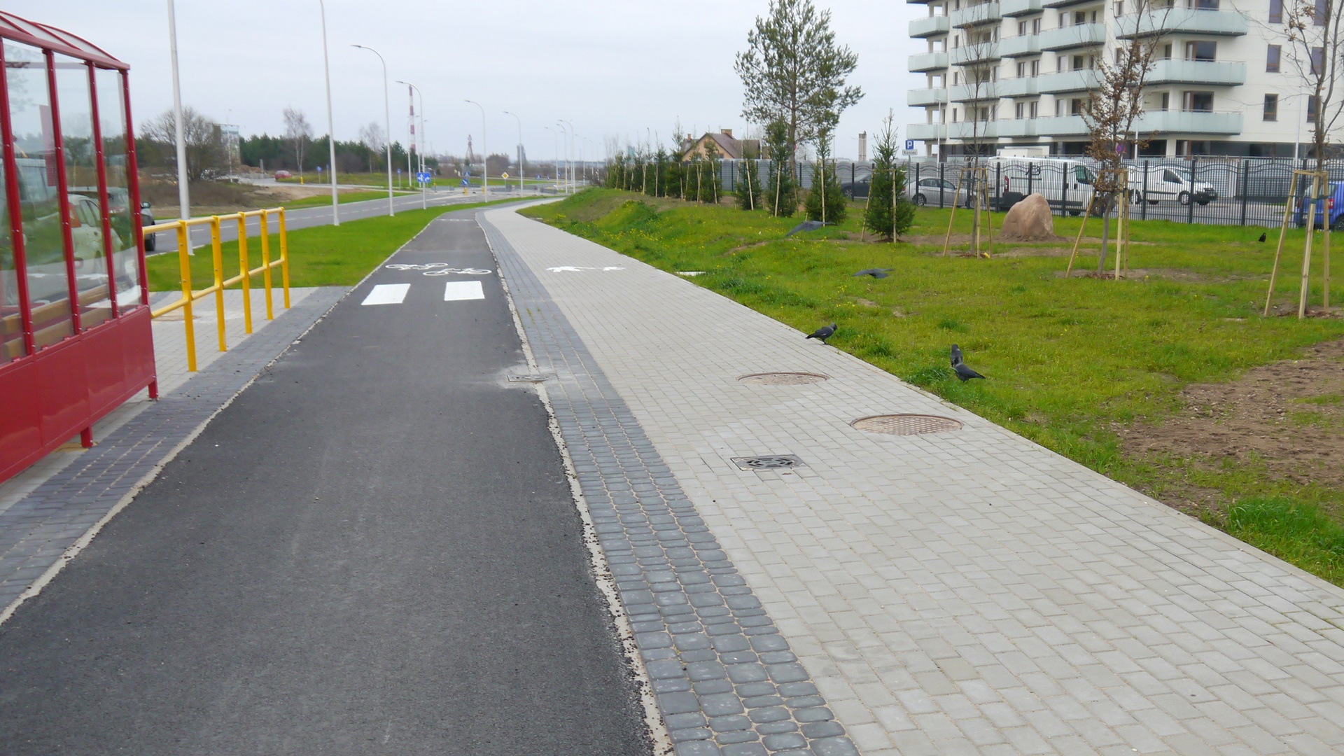 O posadzenie dodatkowych drzew wzdłuż ulicy Pileckiego apeluje radny Sylwester Cimochowski