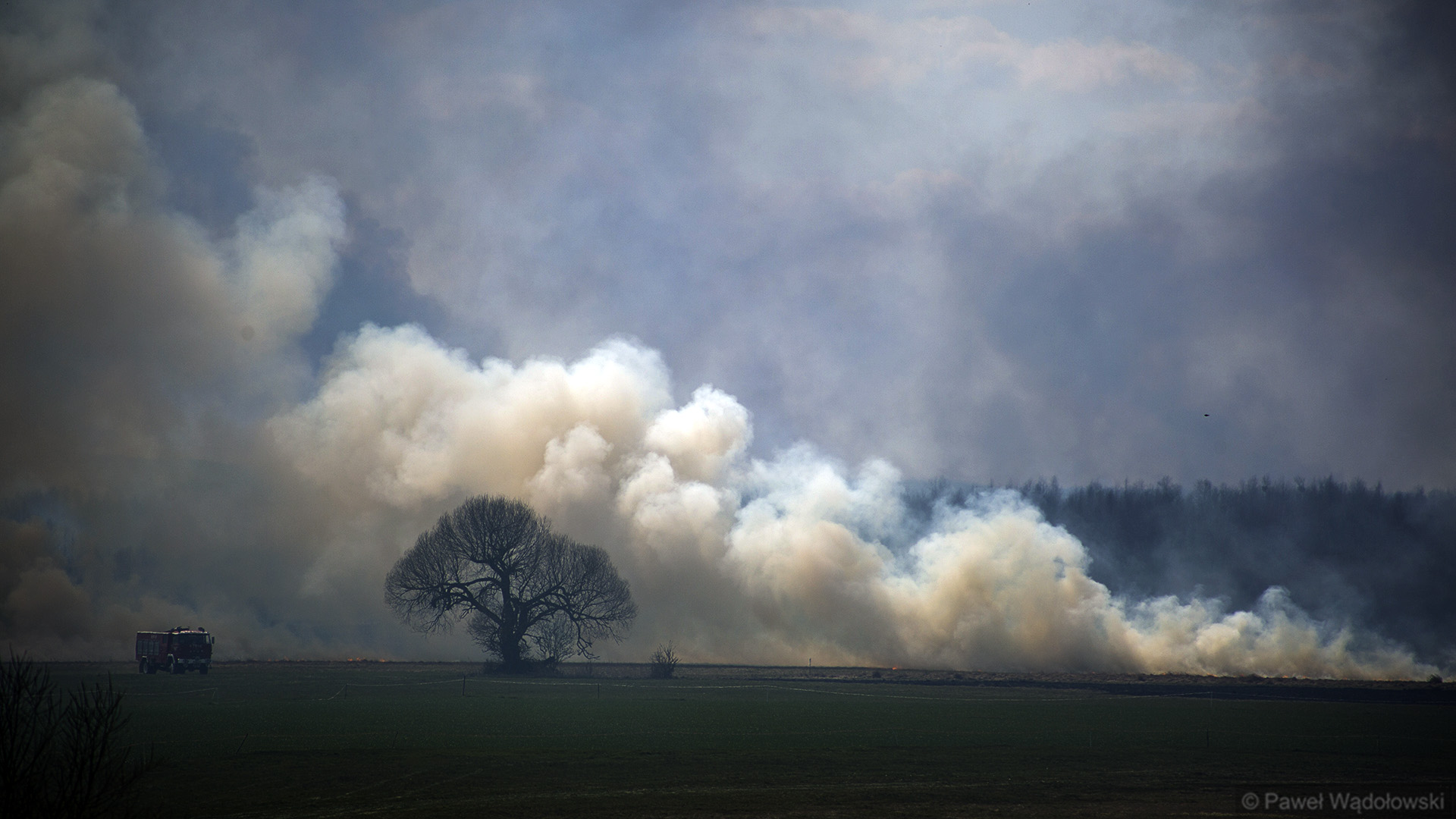 Biebrzański Park Narodowy dostanie 5 mln zł na system przeciwpożarowy