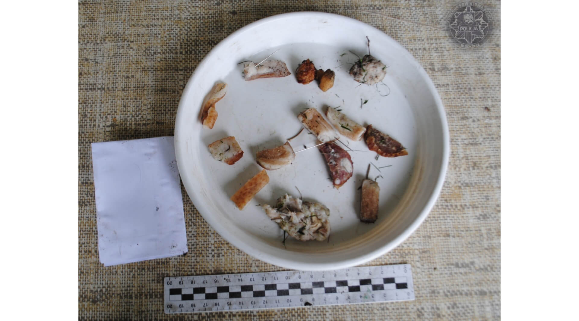 Zarzuty za podrzucenie psu mięsa naszpikowanego szpilkami