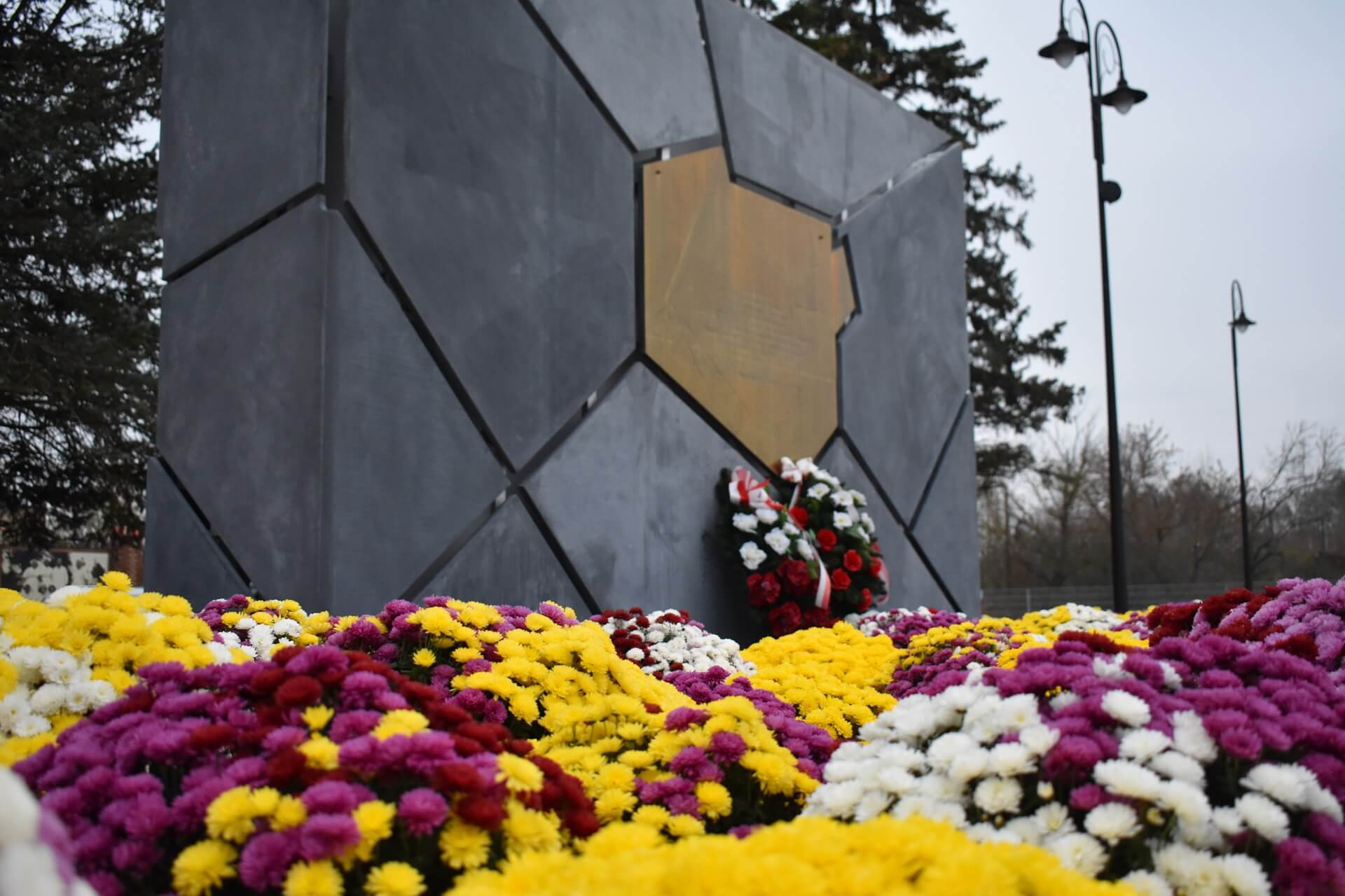 Władze gminy Choroszcz udostępniły mieszkańcom pół tysiąca doniczek z chryzantemami