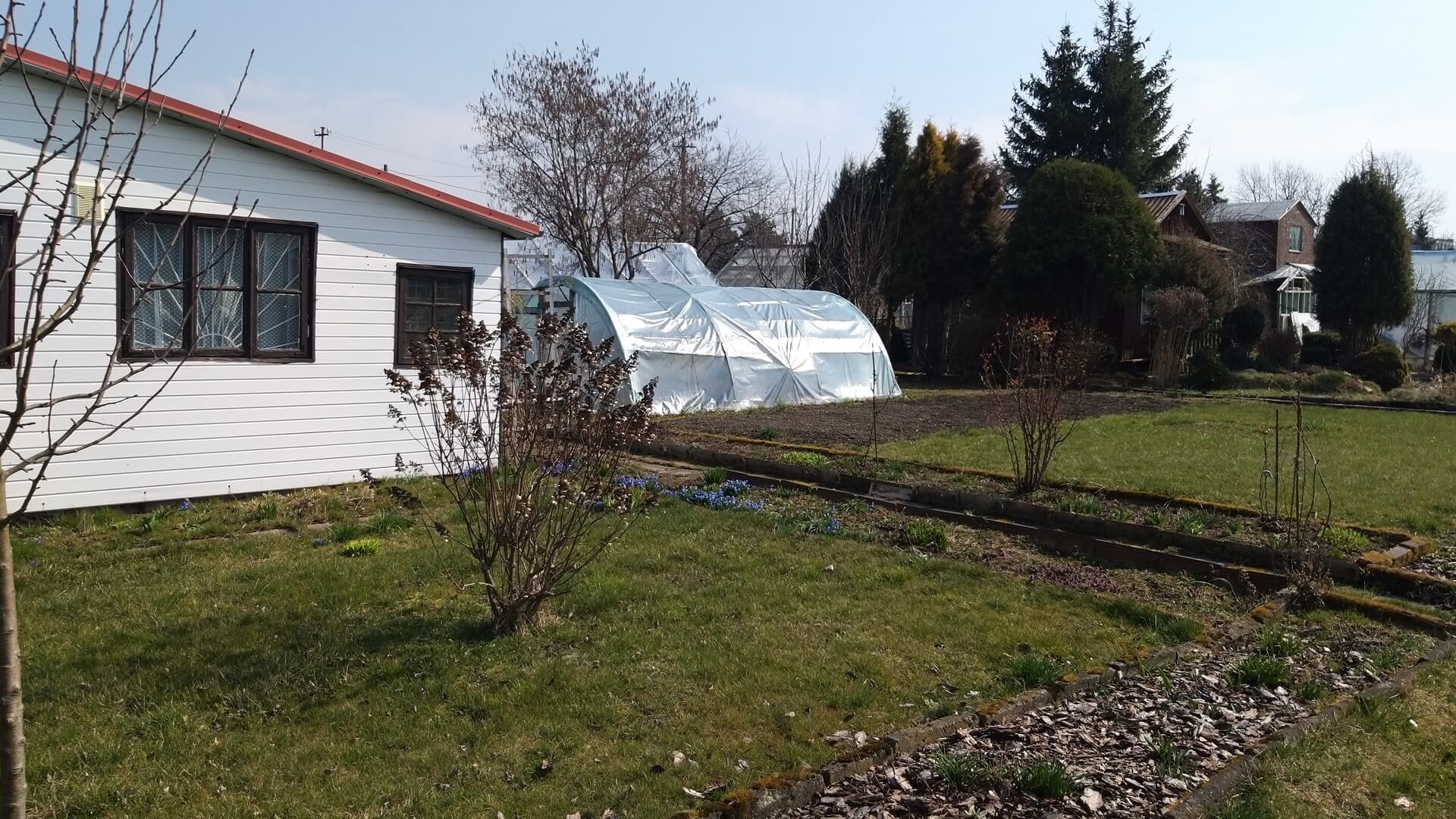 Mimo stanu epidemii białostoczanie spędzają czas w ogrodach działkowych