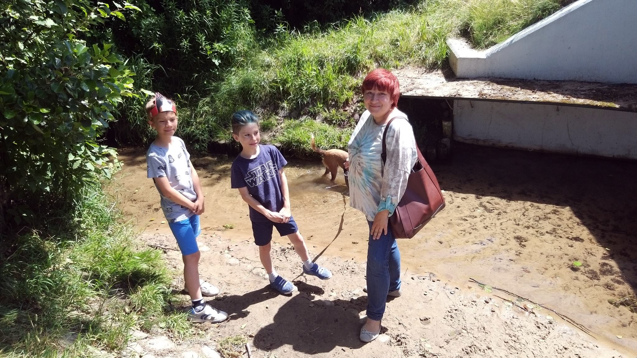 Radiowcy na Psacerze z pieskami ze schroniska