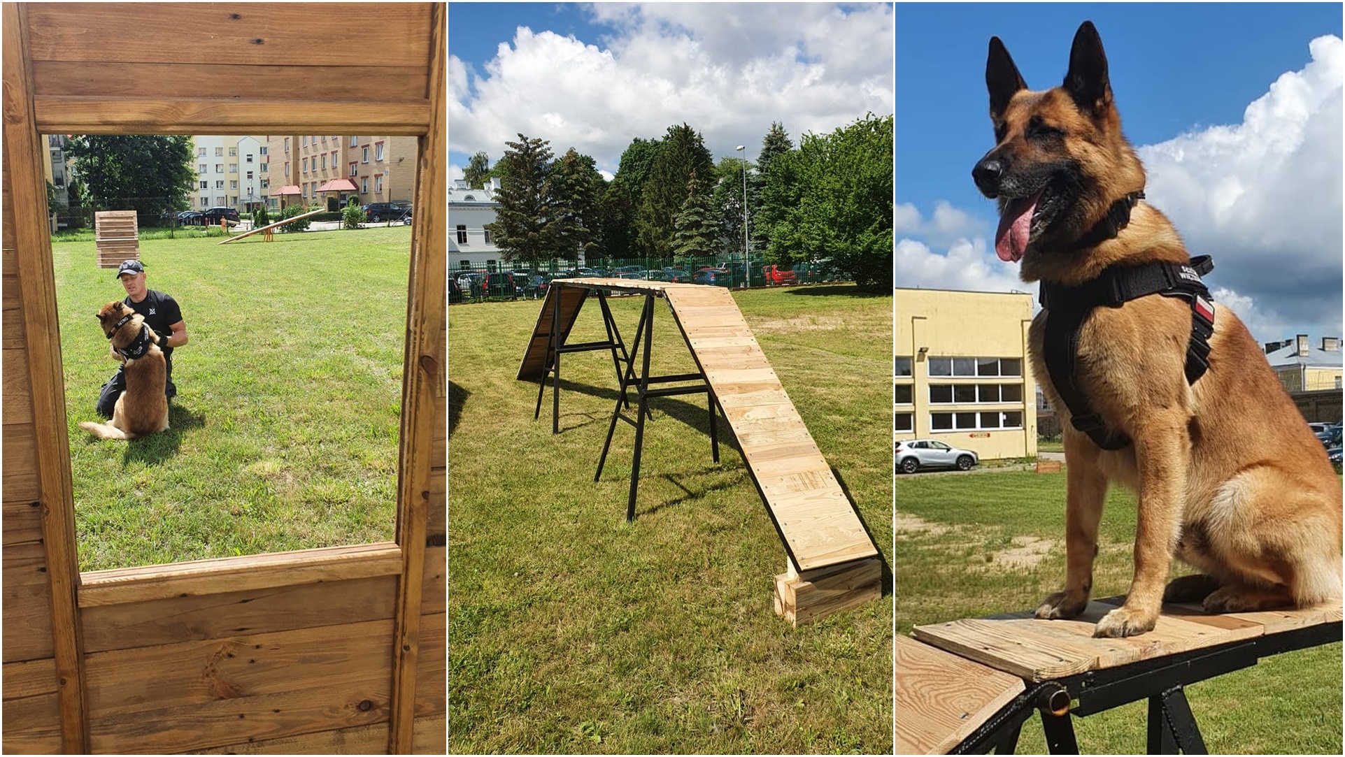 Pies służbowy z białostockiego Aresztu Śledczego ma nowy tor do ćwiczeń