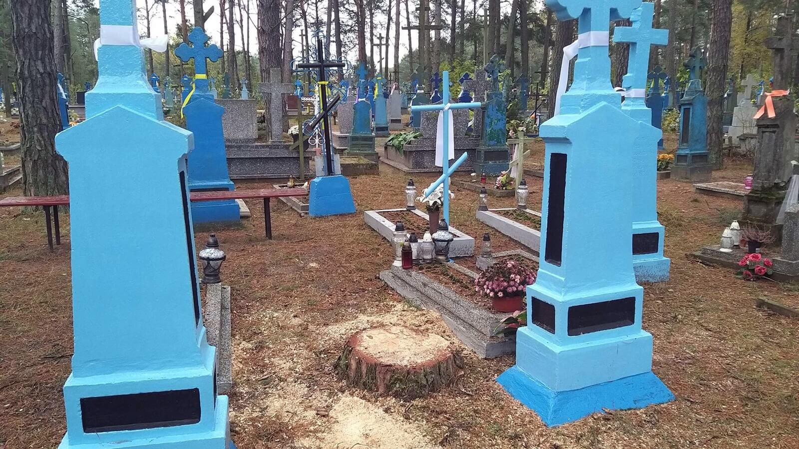 Ścięte bez zezwolenia drzewa i uszkodzone nagrobki na prawosławnym cmentarzu w Dubiczach Cerkiewnych