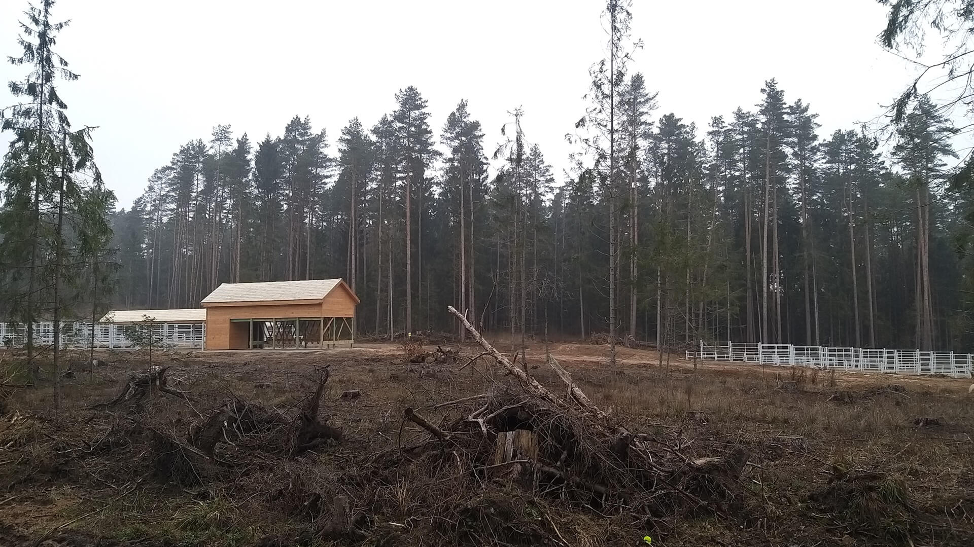 W Kopnej Górze powstaje zagroda pokazowa dla żubrów