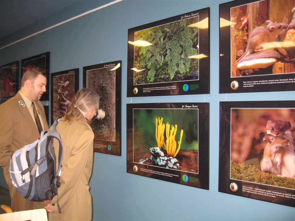 Region:  "Przyroda Puszczy Białowieskiej" w Muzeum Wigier
