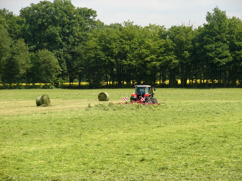 Region:  Ponad 40 rolników rywalizuje w konkursie Bezpieczne Gospodarstwo Rolne