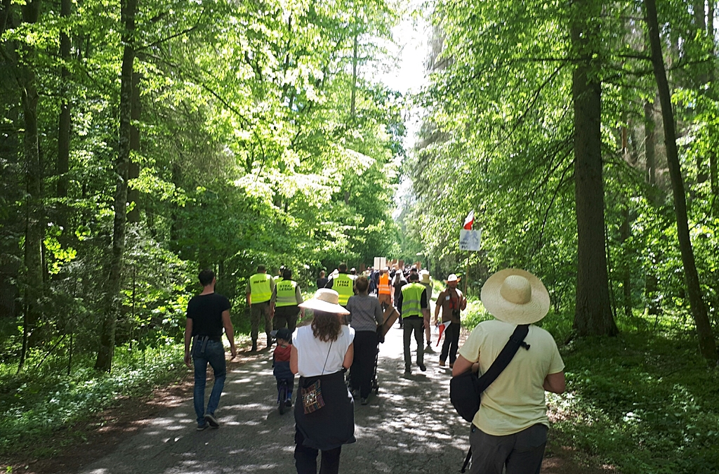 Spacer po Puszczy Białowieskiej mimo zakazu - na razie bez kar