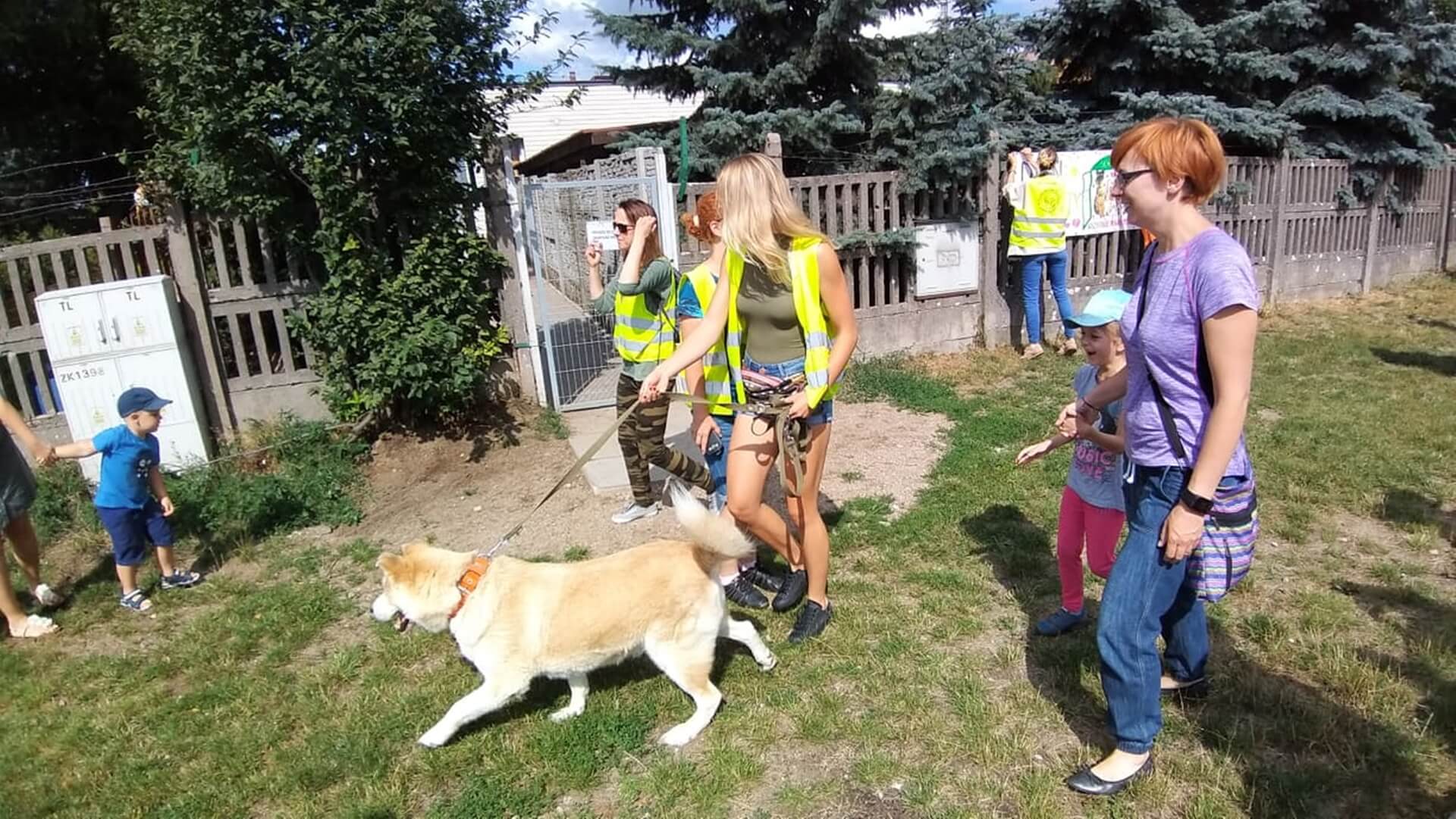 Dzień otwarty w Schronisku dla Zwierząt w Białymstoku