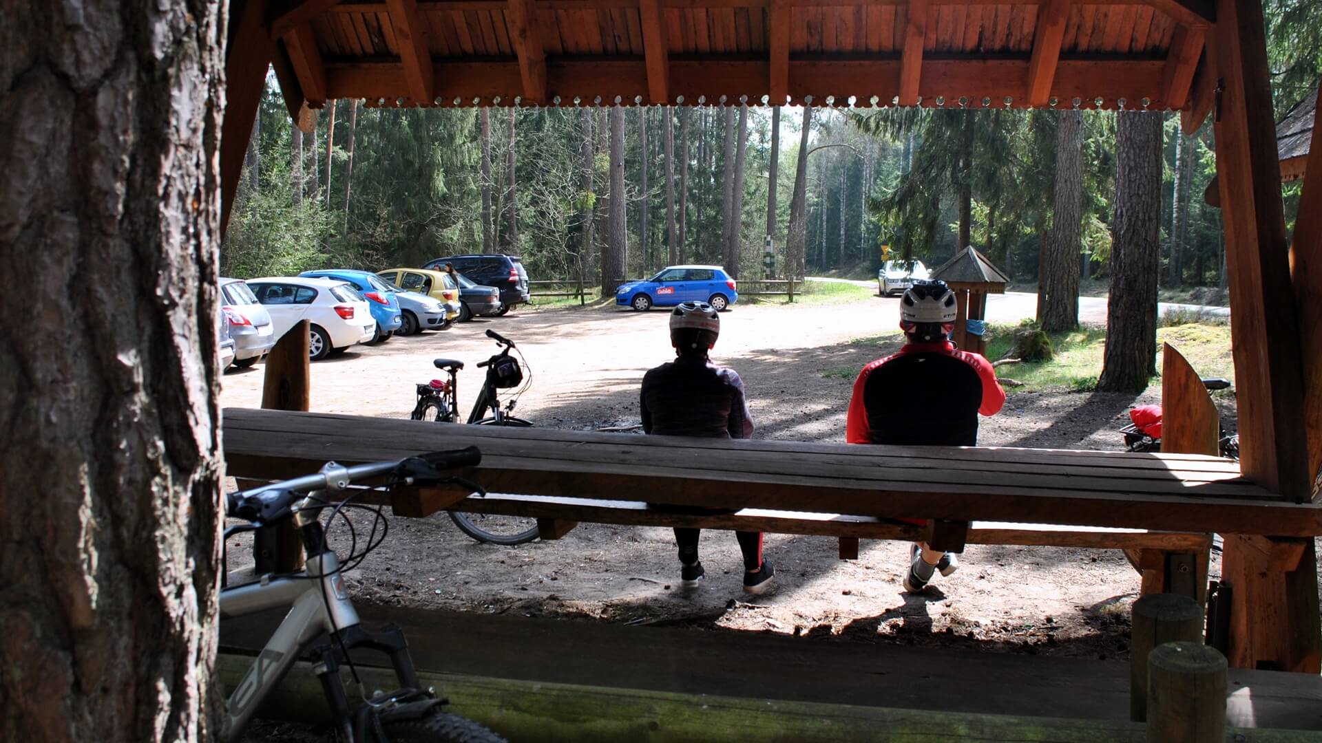 Wiele osób spędza majówkę na łonie natury - lasy w pobliżu Białegostoku są oblegane