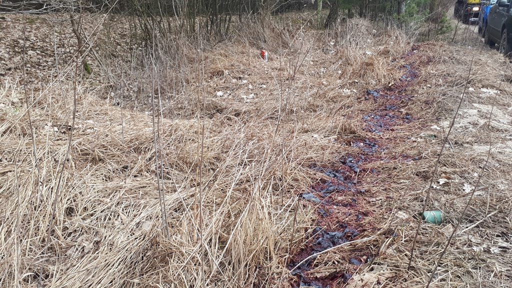 Zwierzęce szczątki w Olmontach nie skaziły gleby - wciąż nie wiadomo skąd się wzięły