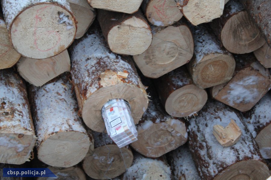 Nietypowy pomysł przemytników - papierosy ukryte w balach sosnowych [zdjęcia, wideo]