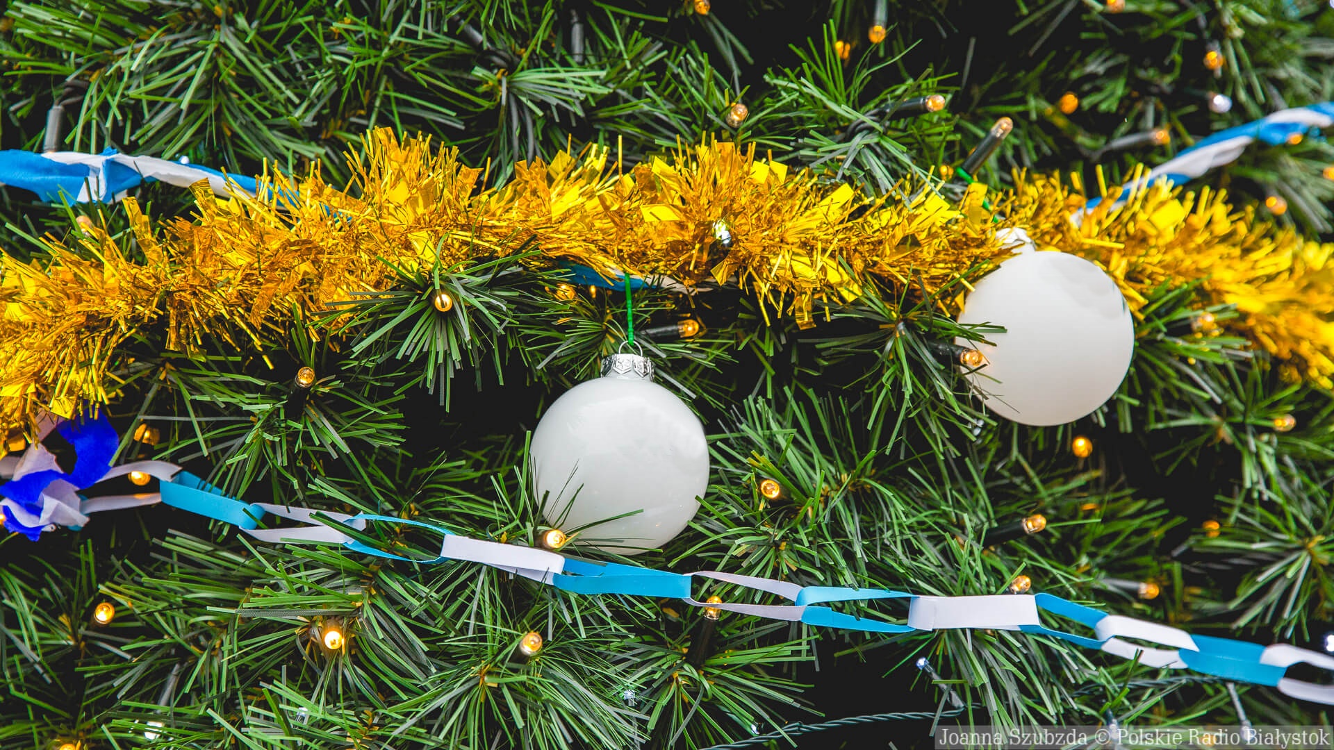 Mieszkańcy Sokółki mogą oddać choinki do utylizacji