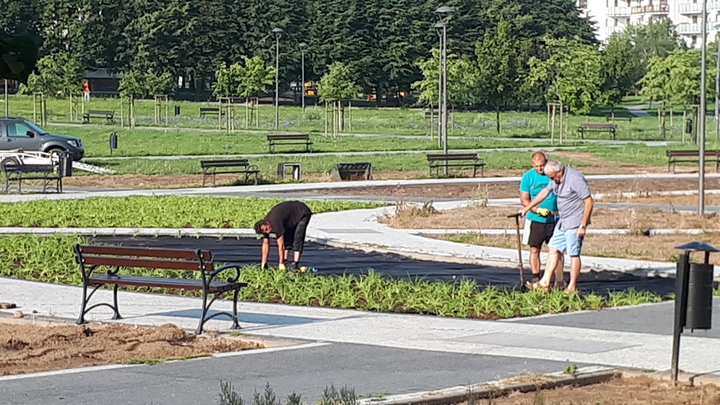 Ponad tysiąc nowych sadzonek w Parku Jana Pawła II Pielgrzyma w Łomży