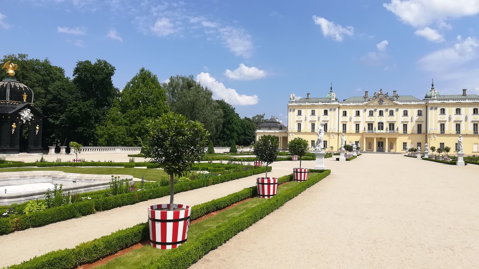 Kilkadziesiąt drzewek cytrusowych ustawiono w ogrodzie Pałacu Branickich