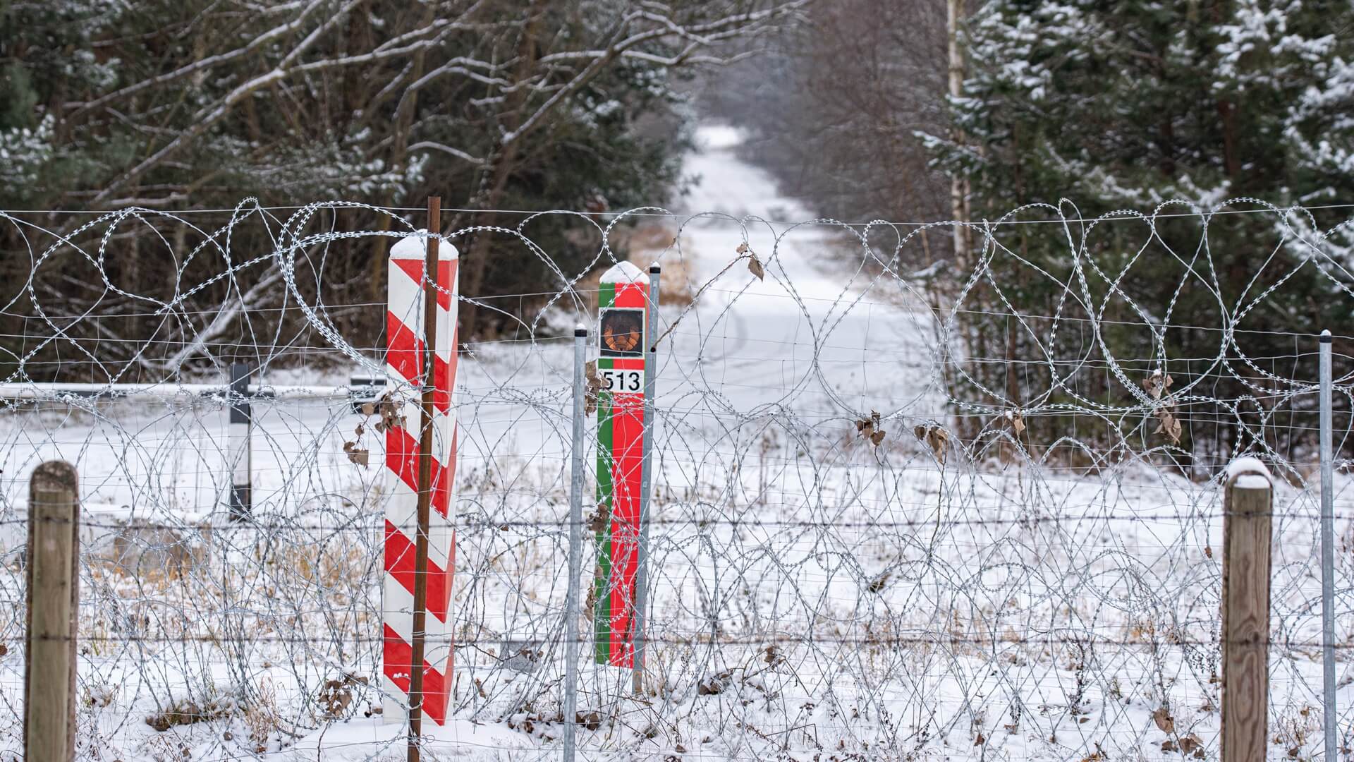 SG: Ostatniej doby 41 osób próbowało przekroczyć granicę z Białorusią