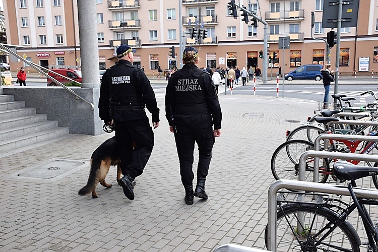 Straż Miejska w Białymstoku zatrudni nowych funkcjonariuszy