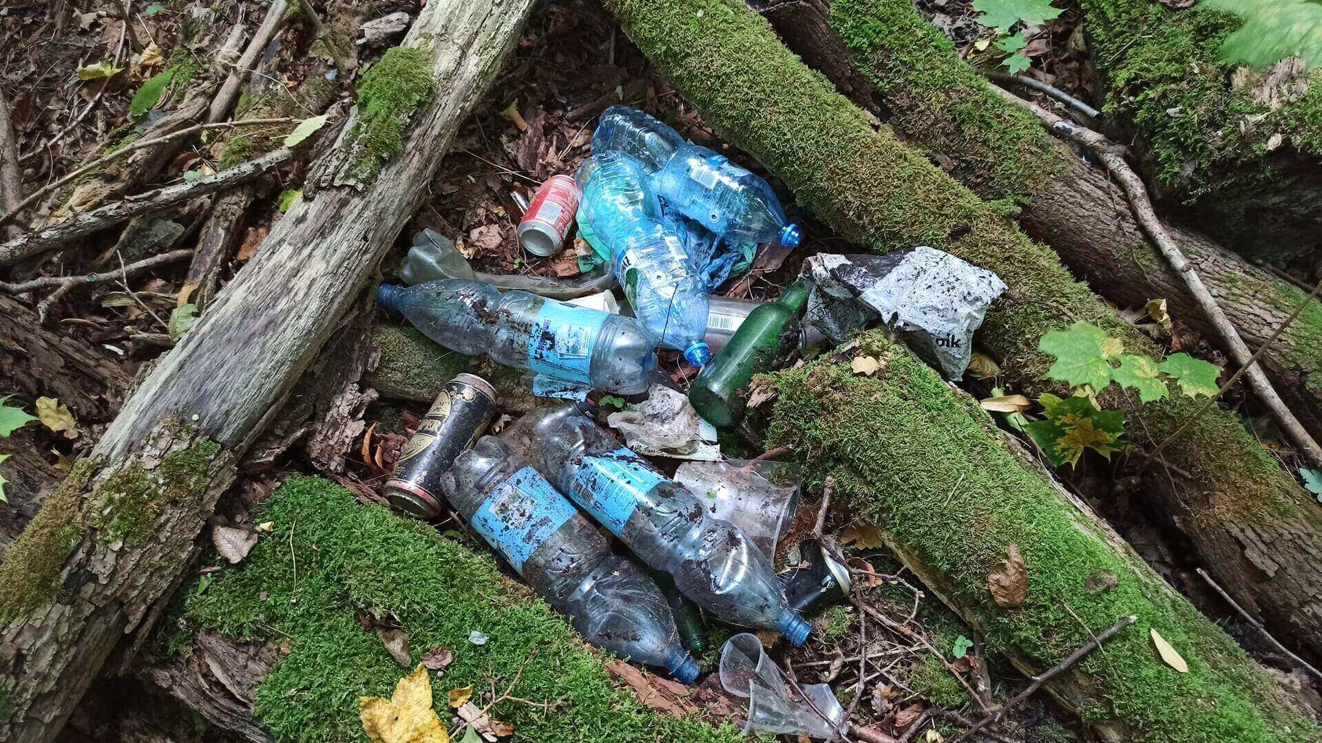 Słuchacz Radia Białystok zebrał ponad 300 worków z odpadami w Lesie Zwierzynieckim