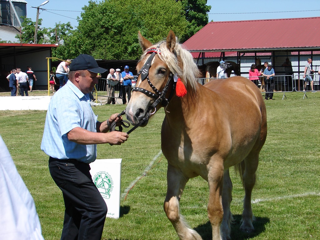 Zielona Gala i Podlaskie Targi Budownictwa Wiejskiego w Szepietowie