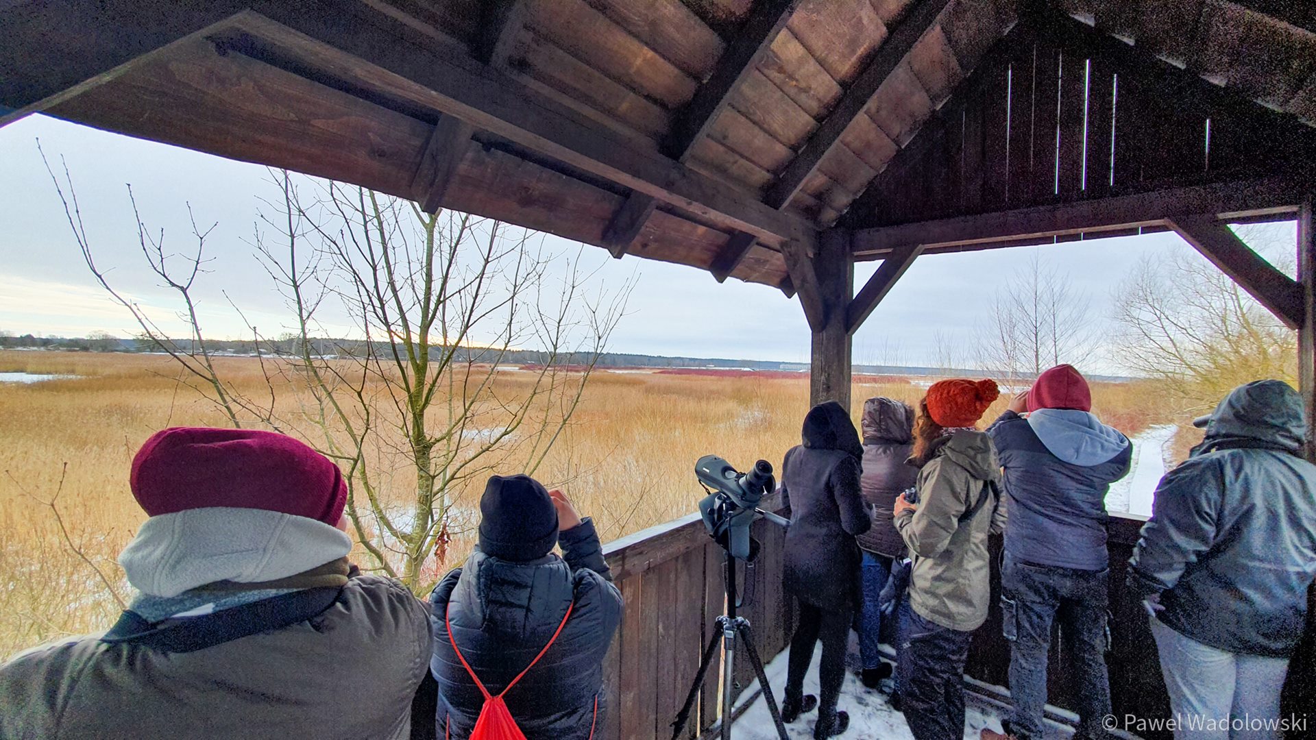 Mokradła w Biebrzańskim Parku Narodowym tętnią życiem