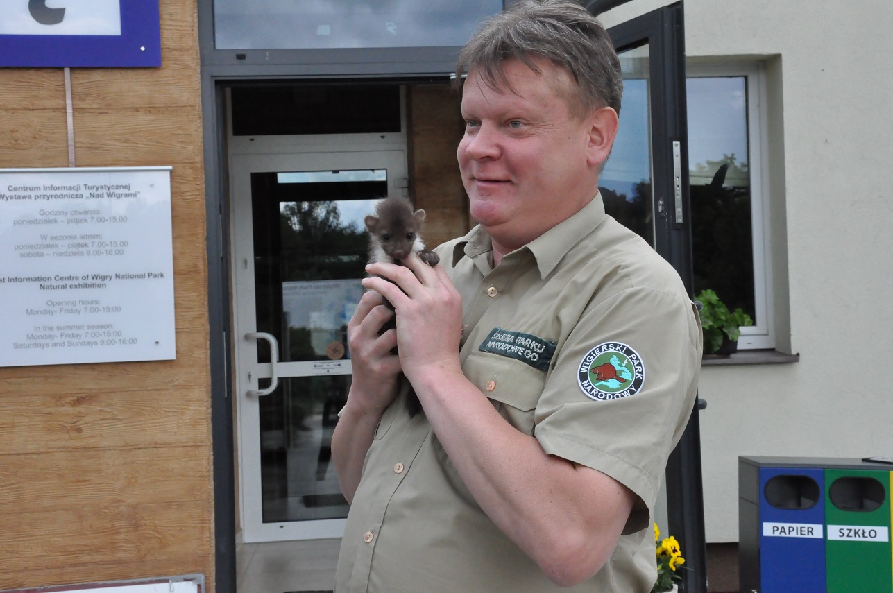 Nie zabierajmy dzikich zwierząt z lasu do domu - apeluje WPN