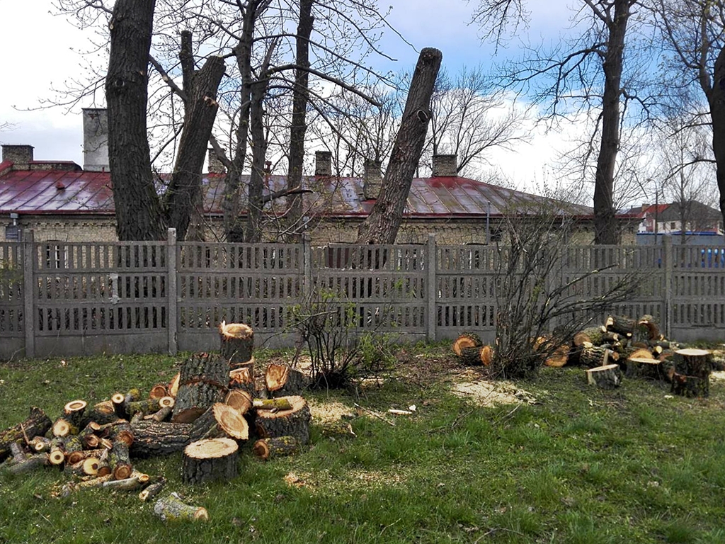 W Suwałkach przybywa betonu a ubywa zieleni - niepokoi to mieszkańców