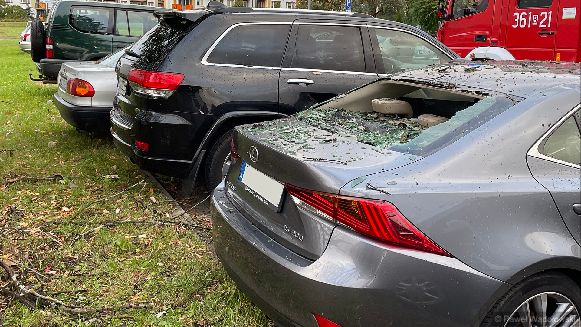 Silne podmuchy wiatru w Podlaskiem - strażacy interweniowali ponad 100 razy