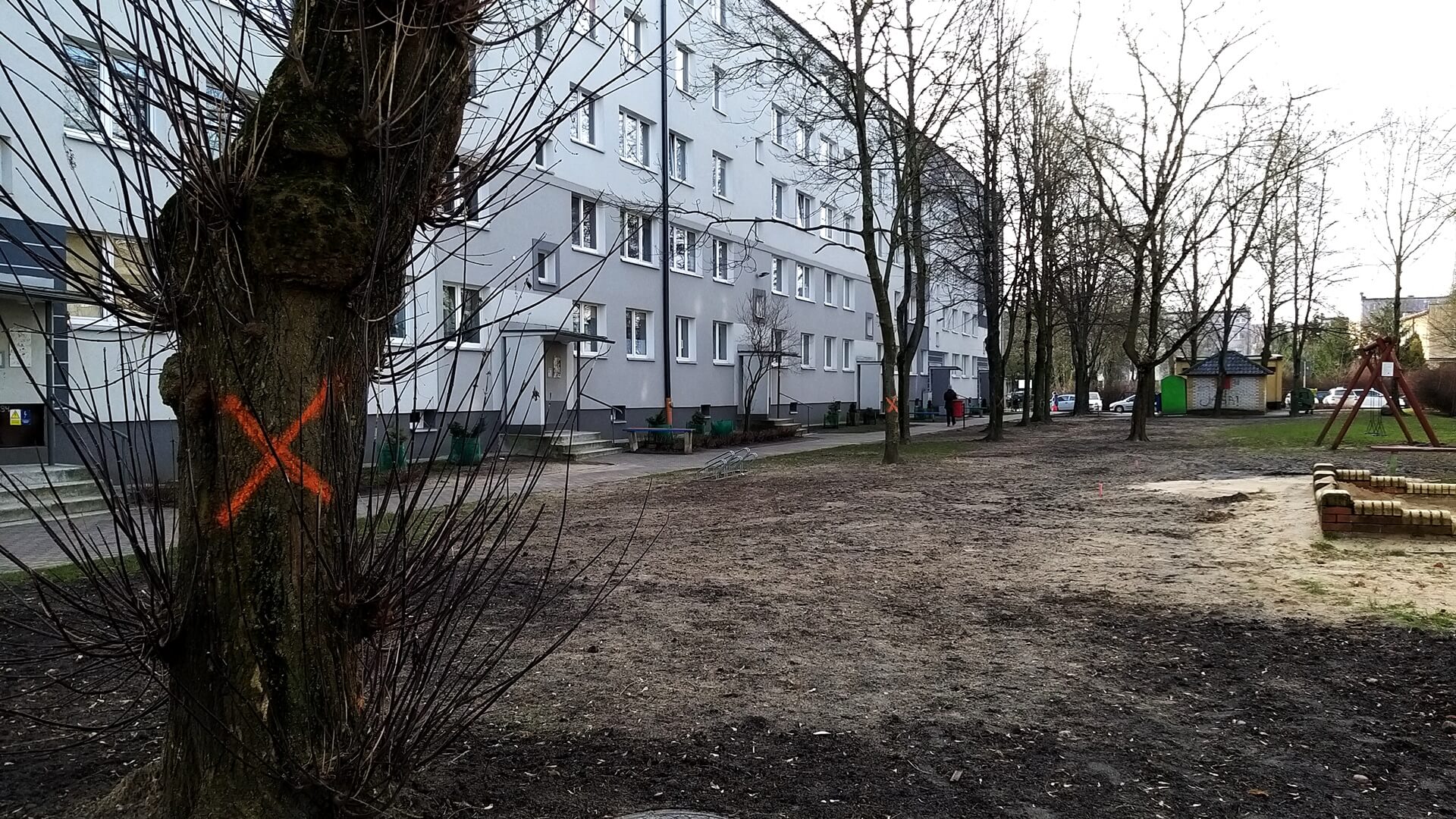 Bezpieczeństwo - głównym powodem wycinki drzew w Białymstoku