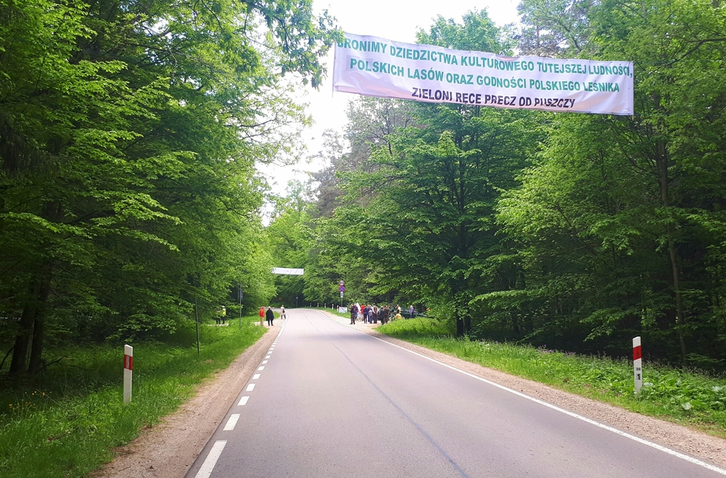 Dwie pikiety w sprawie Puszczy Białowieskiej