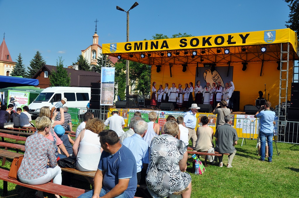 Dojenie sztucznej krowy, atrakcje dla dzieci i zabawa taneczna do rana podczas festynu "Natura 2017" w Waniewie [zdjęcia]