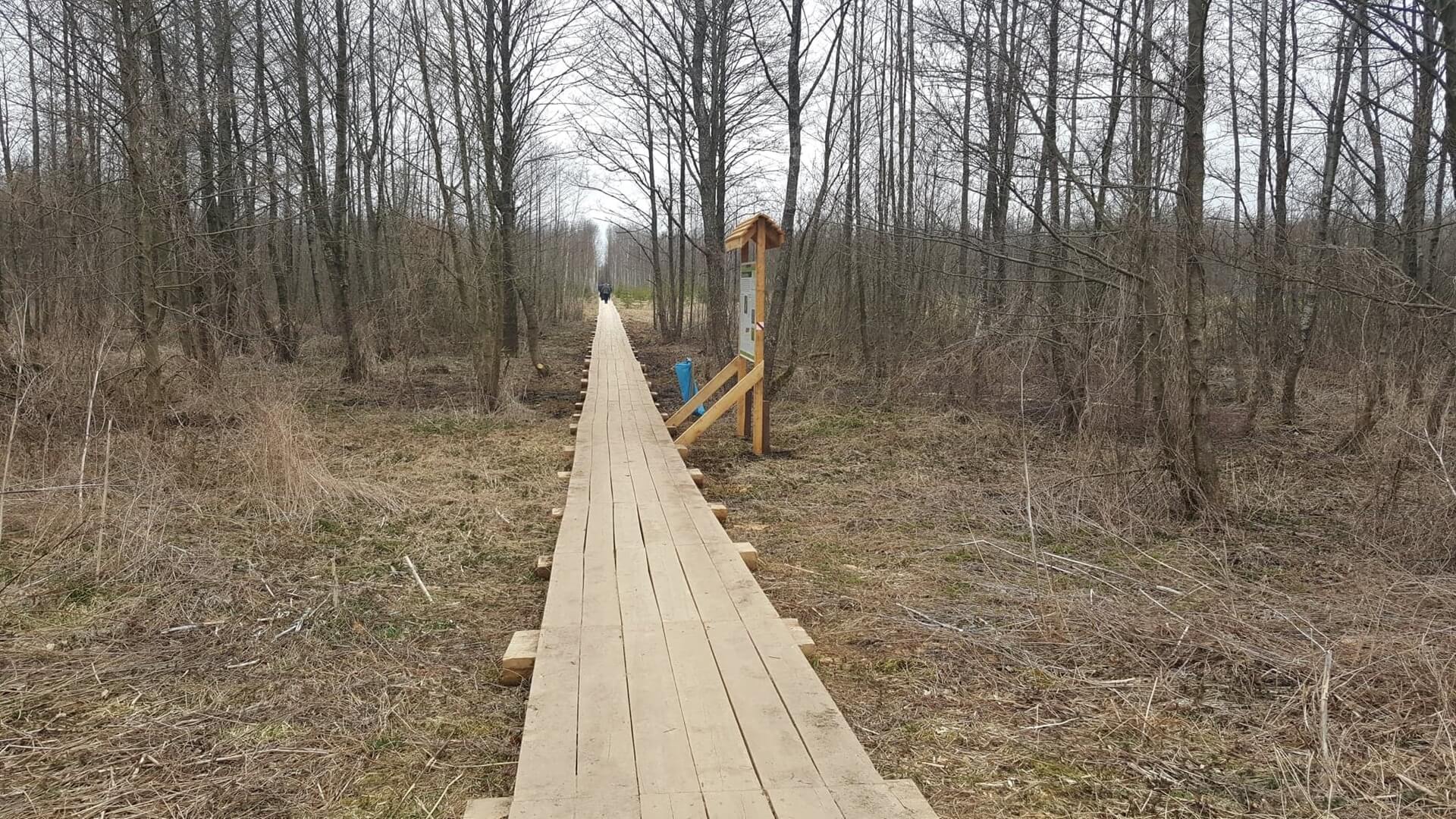 Turyści mogą już korzystać z kładki na Czerwonym Bagnie w Biebrzańskim Parku Narodowym