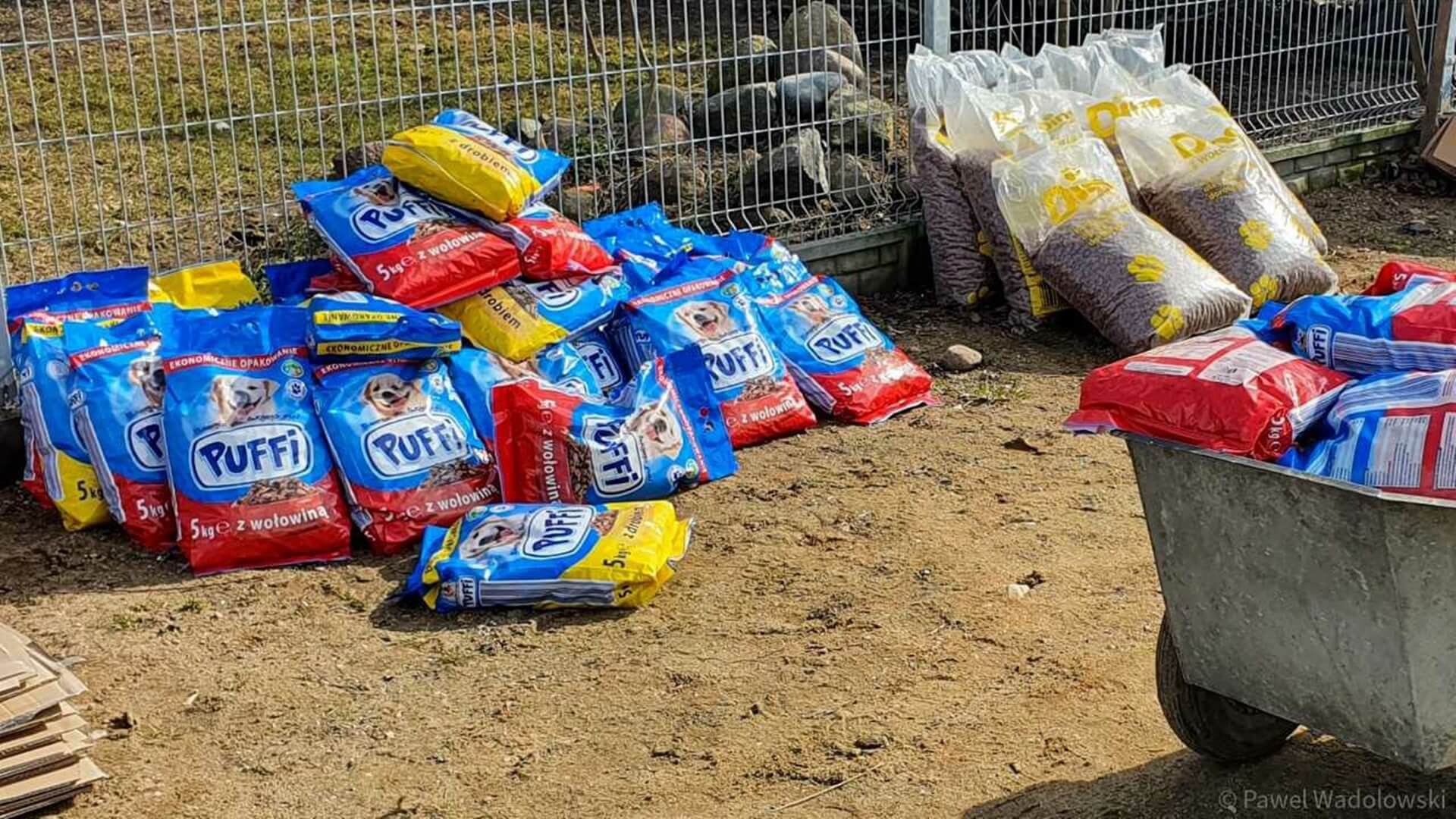 Z powodu pandemicznych obostrzeń schronisko w Łomży potrzebuje pomocy