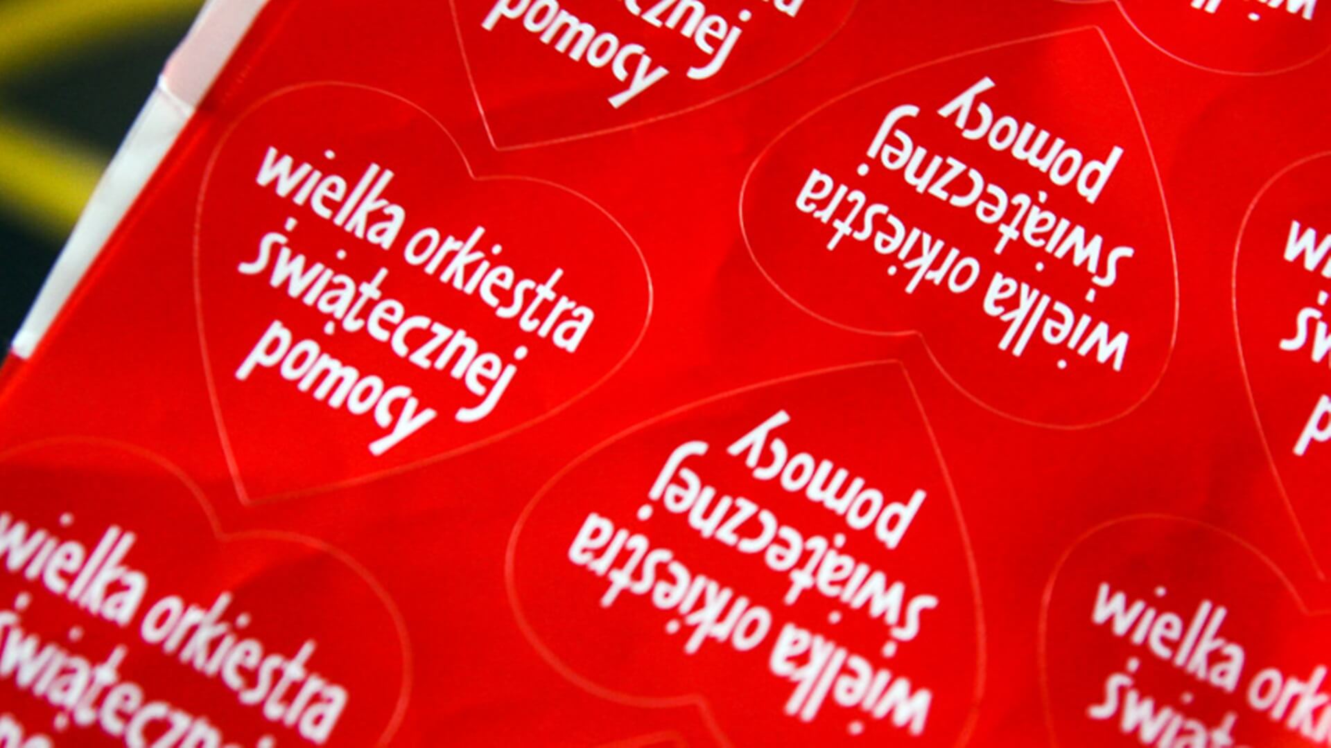 Wolontariuszka z zarzutami - felieton Tomasza Kubaszewskiego