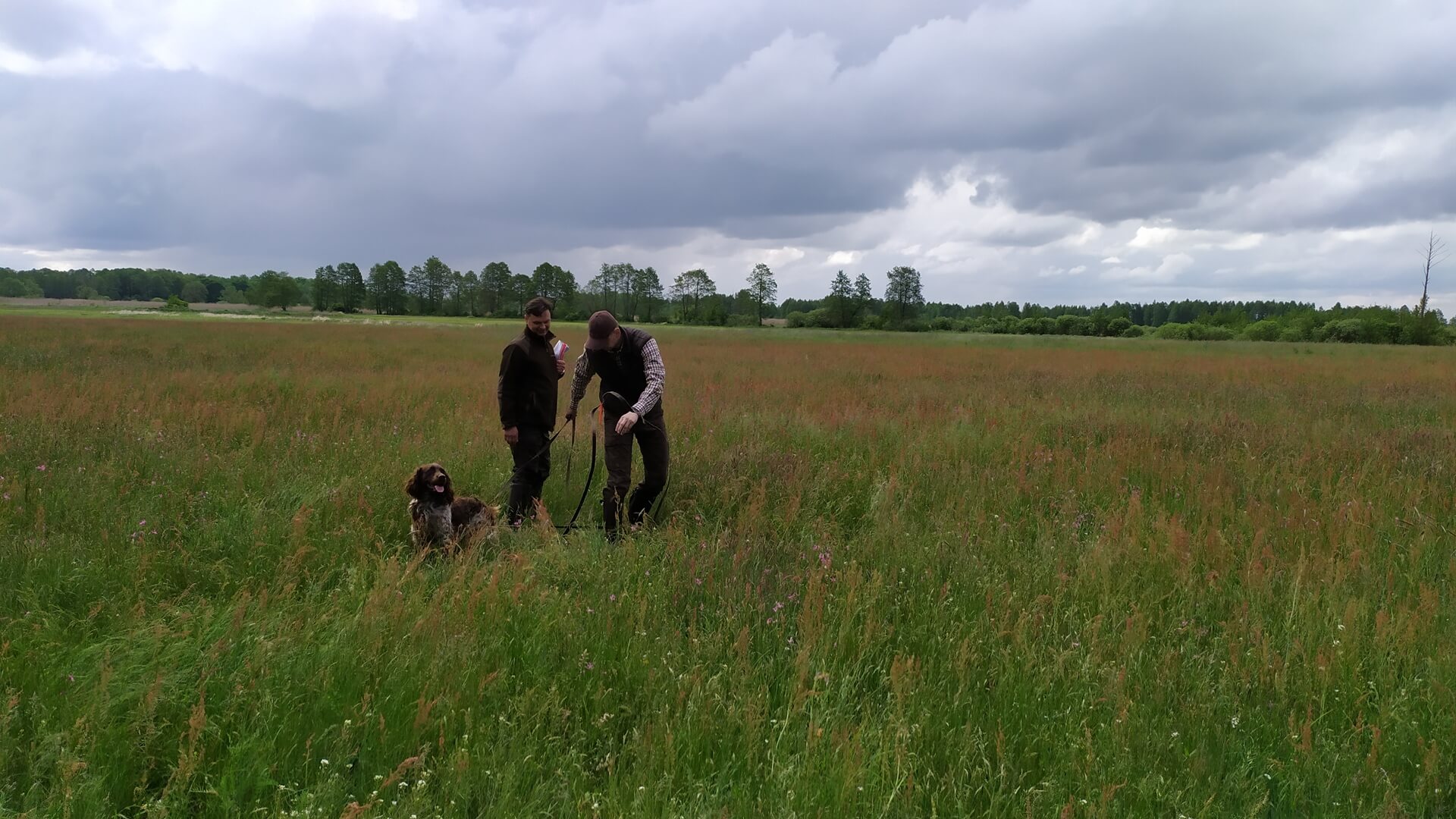 Myśliwi pomagają rolnikom - chodzi o ochronę zwierząt w trakcie sianokosów
