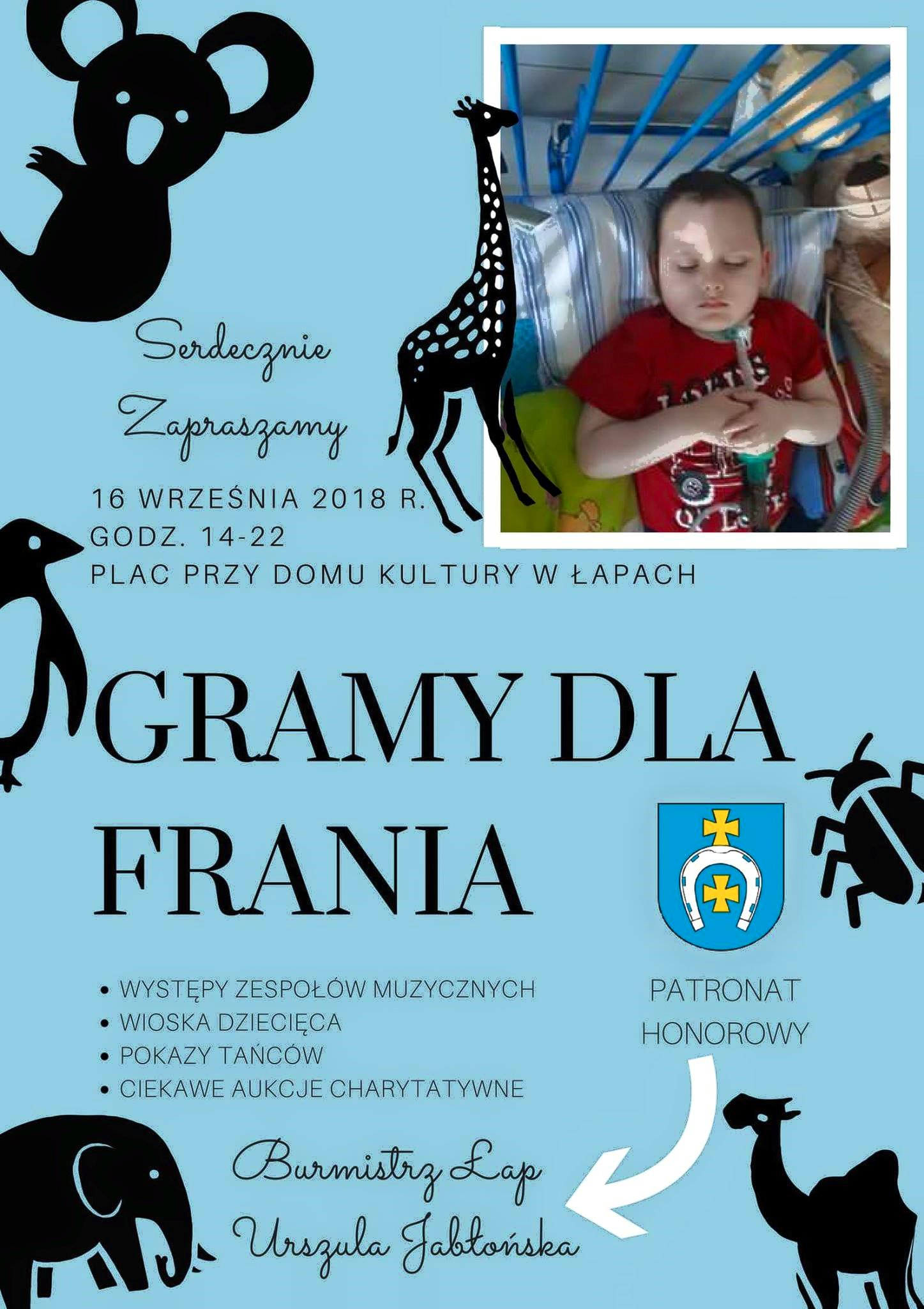 Muzyka i licytacje - festyn dla chorego 5-latka z Łap