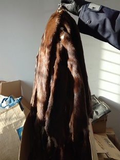 Policjanci z Łap zatrzymali 63-letniego mieszkańca okolic Suraża, podejrzanego o kłusownictwo