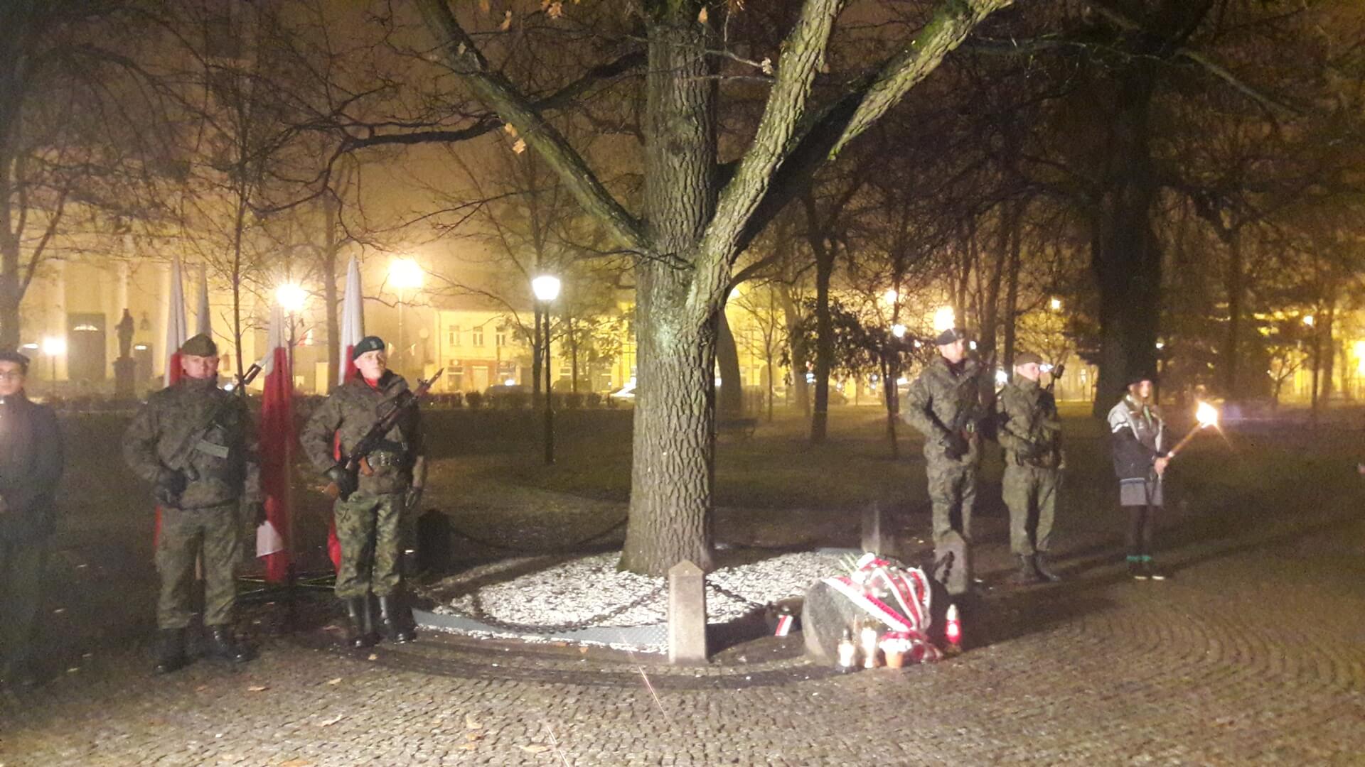 Dąb Wolności - świadek suwalskiej historii