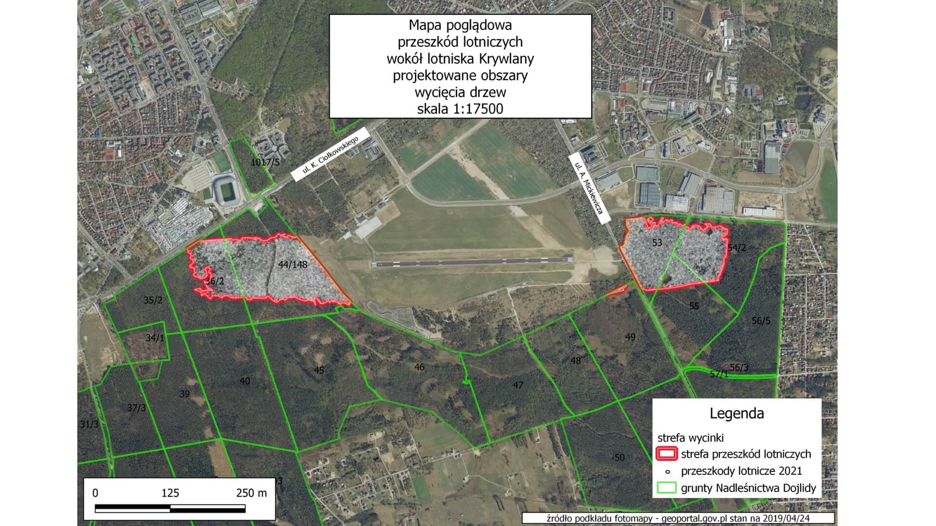 Nie będzie skargi do NSA ws. wycinki w Lesie Solnickim